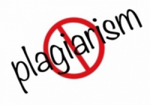 The Community affairs and environment service sector held a workshop about plagiarism